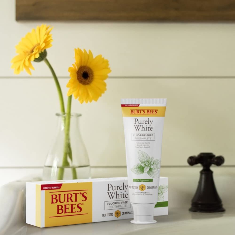 Burt's Bees Natural Mountain Mint Toothpaste – Thoughtful Fluoride-Free Stocking Stuffer and Housewarming Present