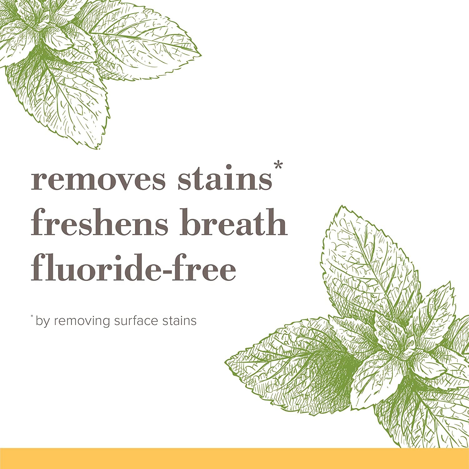 Burt's Bees Natural Mountain Mint Toothpaste – Thoughtful Fluoride-Free Stocking Stuffer and Housewarming Present