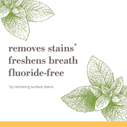 Burt's Bees Natural Mountain Mint Toothpaste – Thoughtful Fluoride-Free Stocking Stuffer and Housewarming Present