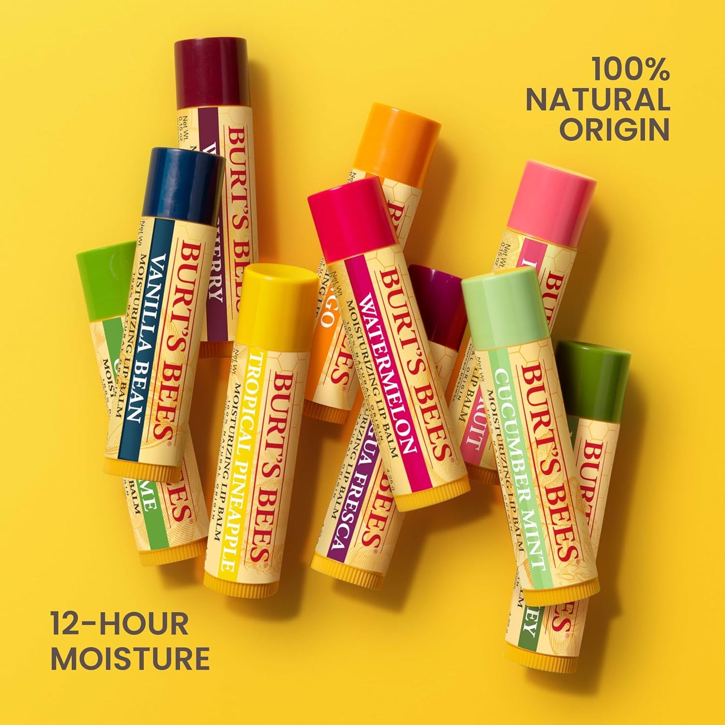 Burt's Bees Natural Origin Lip Moisturizer Bulk – Non-Toxic Self-Care Staple for Wellness and Sensitive Skin Routines