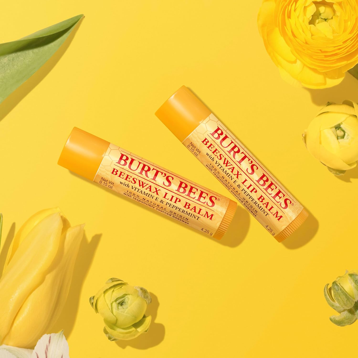 Burt's Bees Natural Origin Lip Moisturizer Bulk – Non-Toxic Self-Care Staple for Wellness and Sensitive Skin Routines
