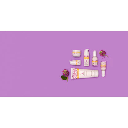 Burt's Bees Renewal Day and Night Cream Set – Birthday Gift for Mom Who Loves Clean Anti-Aging Skincare