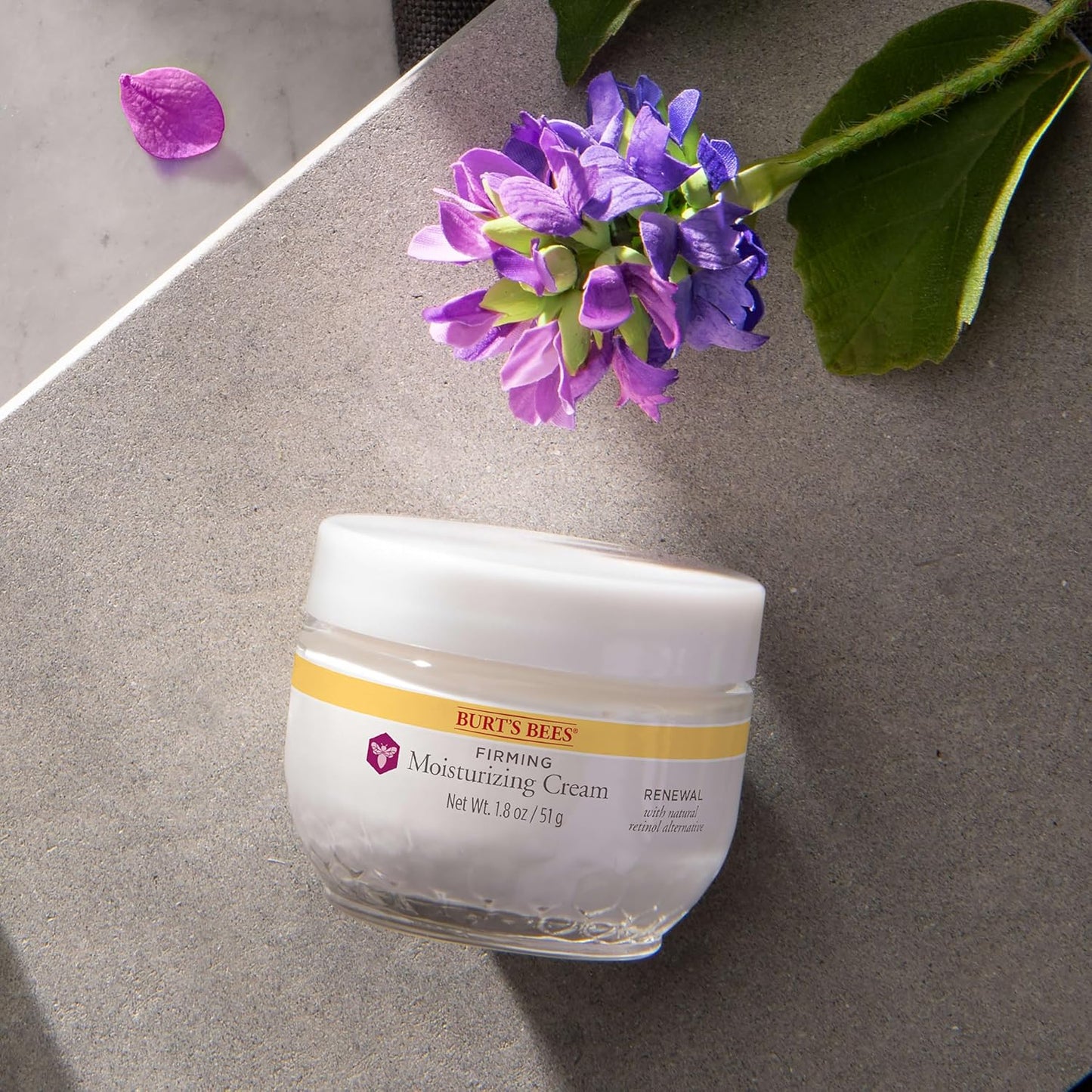 Burt's Bees Renewal Day and Night Cream Set – Birthday Gift for Mom Who Loves Clean Anti-Aging Skincare