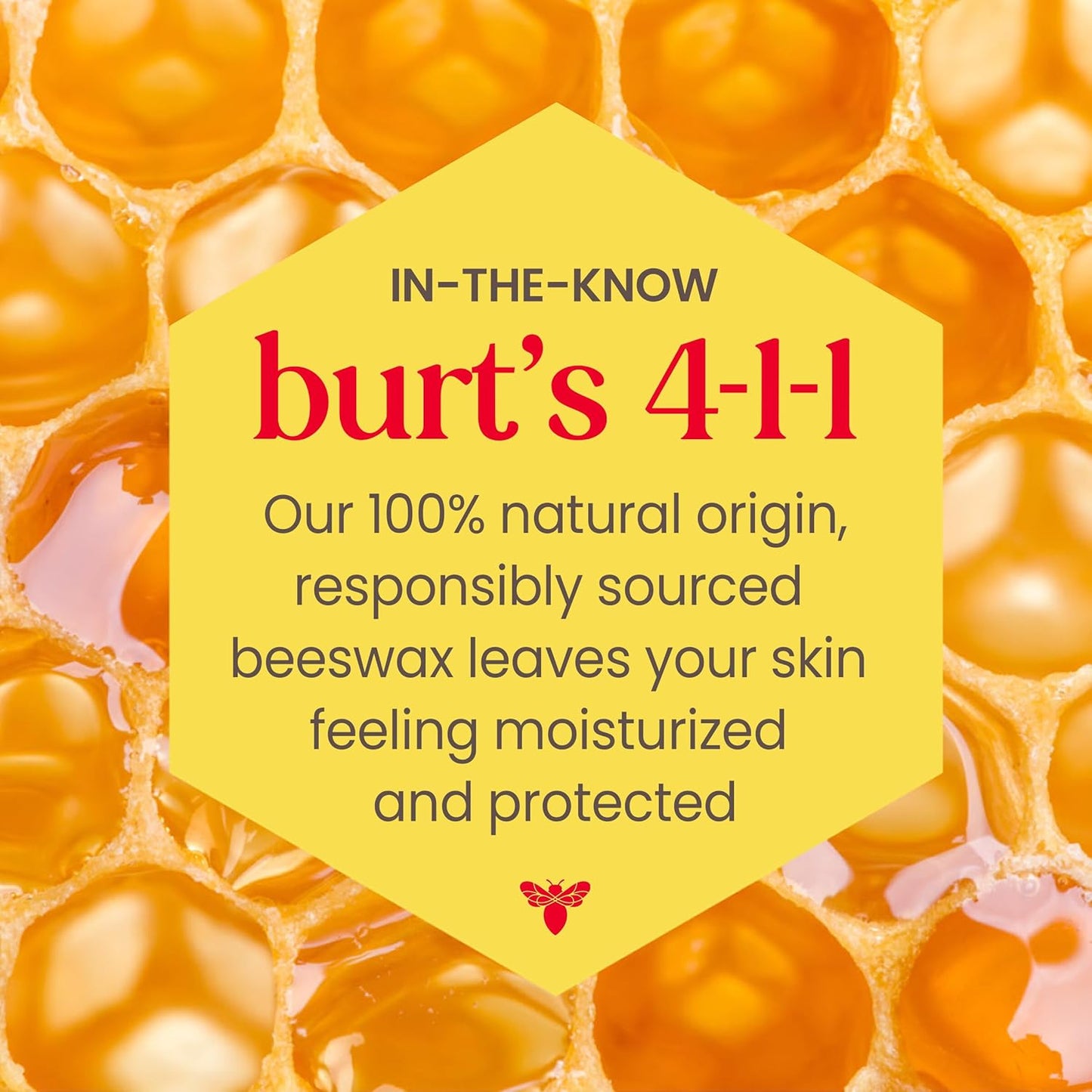 Burt's Bees Tinted Lip Balm – Travel Size Lip Moisturizer for Camping Trips, Durable 0.3 oz Tube for the Trail
