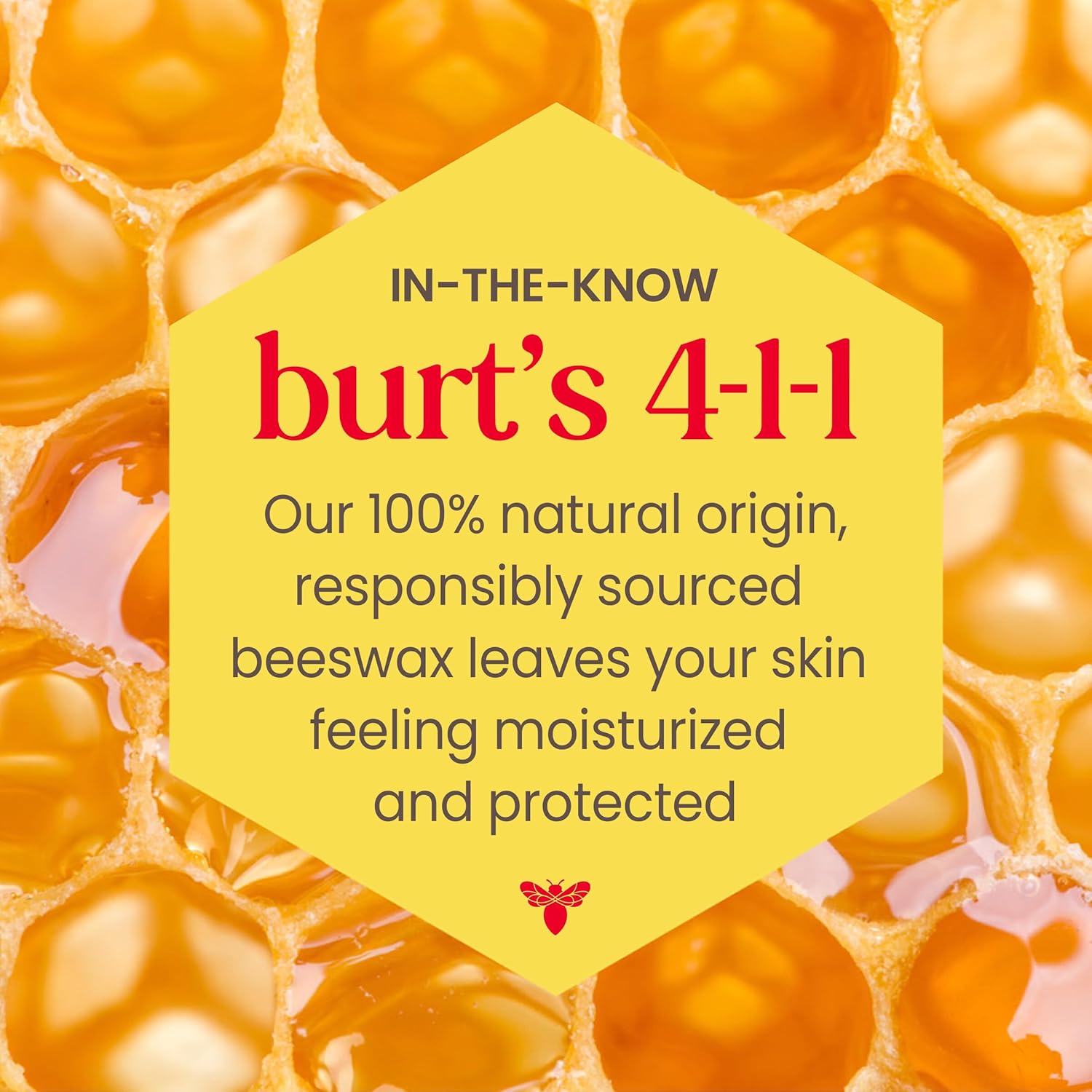Burt's Bees Tinted Lip Balm – Travel Size Lip Moisturizer for Camping Trips, Durable 0.3 oz Tube for the Trail