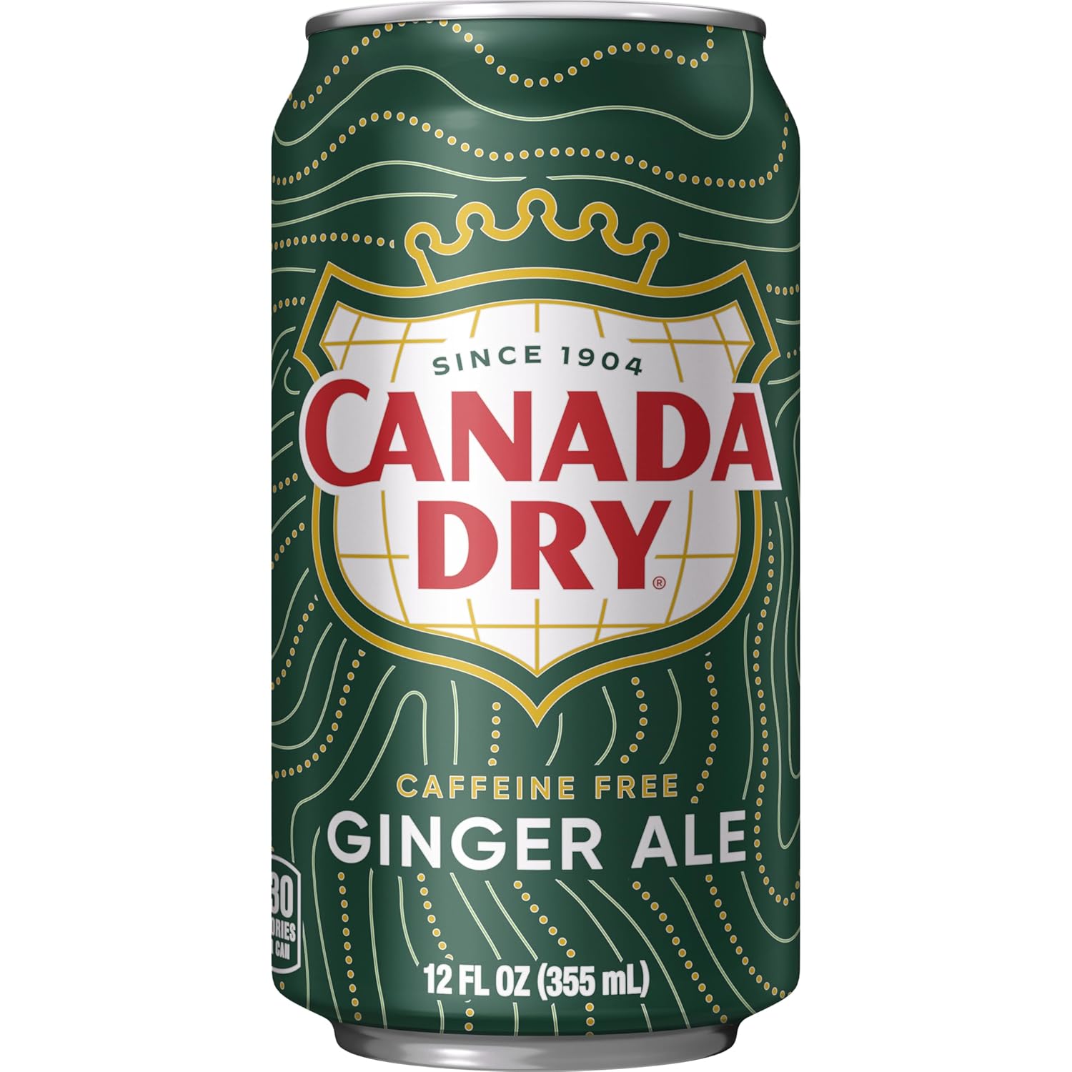 Canada Dry Ginger Ale Soda – Portable BBQ and Patio Mixer, 12 fl oz Cans 12 Pack