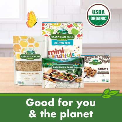 Cascadian Farm Organic Cinnamon Apple Cereal – Kid Friendly Lunchbox Snack for School and After School, No Added Sugar