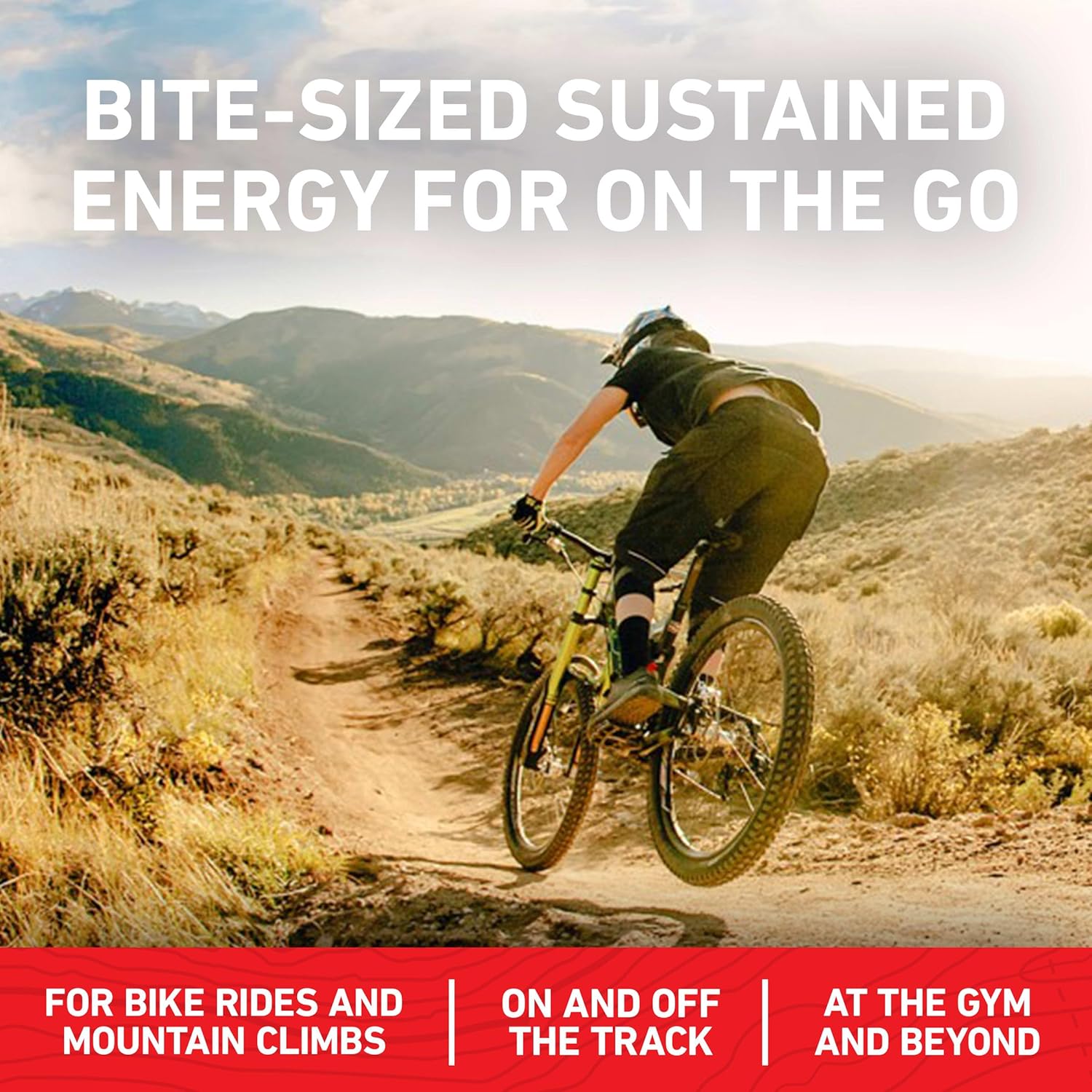 CLIF BAR Energy Bites - Desk-Side Fuel for Focused Workdays, Single-Serve Plant Protein Snack Packs
