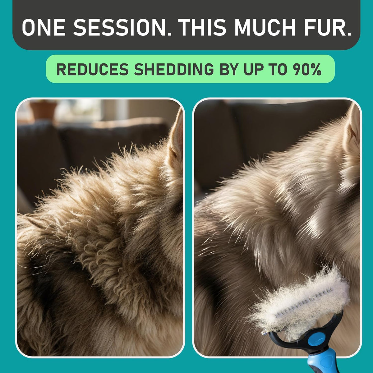 compatible with both long-haired dogs and cats with thick or double coats