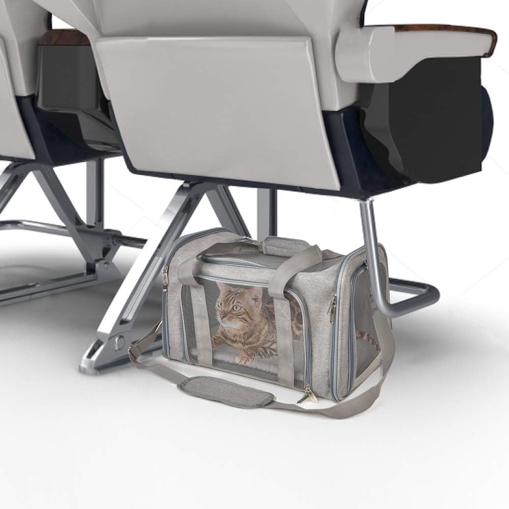 connecting loop handles that double as car seat belt anchors or luggage straps