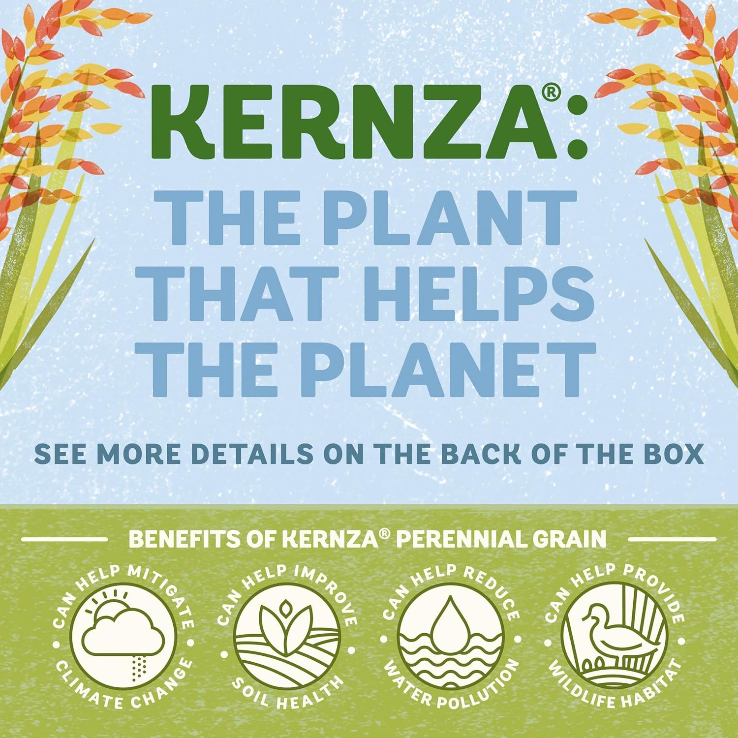 contains at least 1% kernza perennial grain for climate-positive sourcing