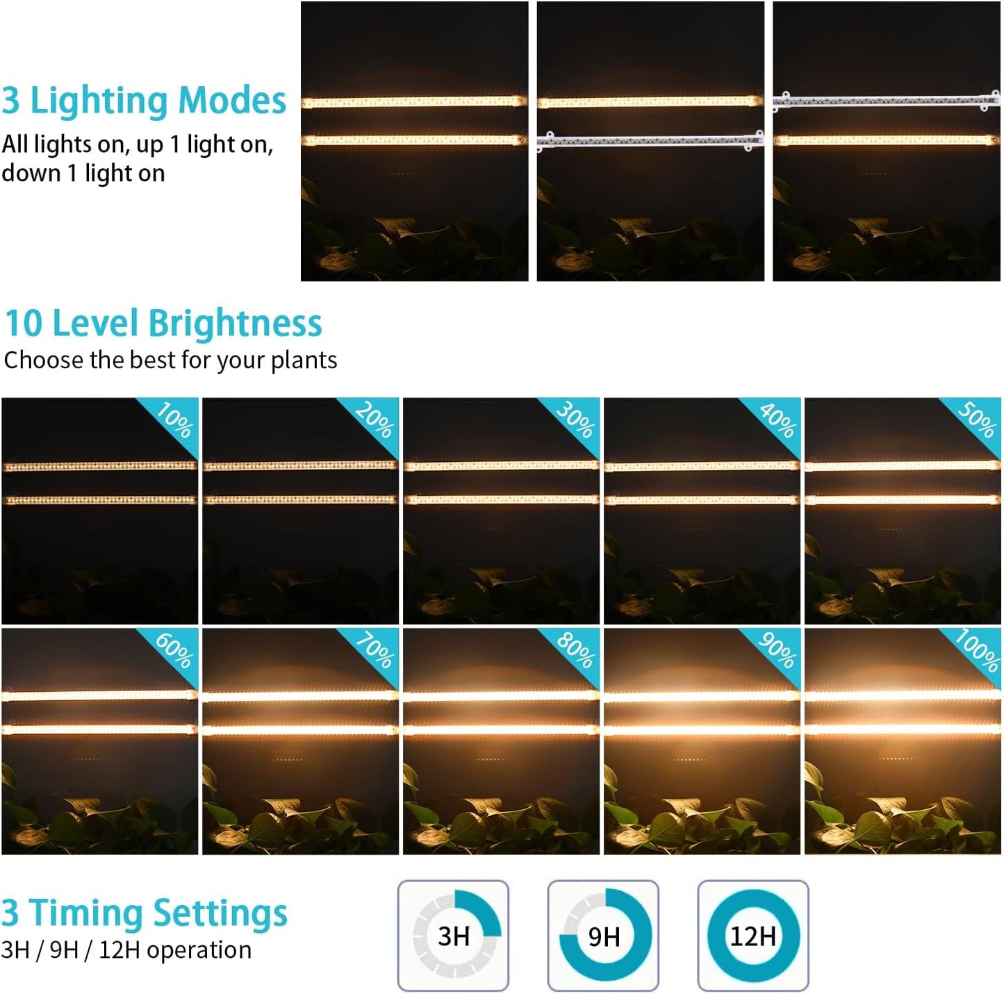 cycle memory timer with 3/9/12 hour auto on/off settings