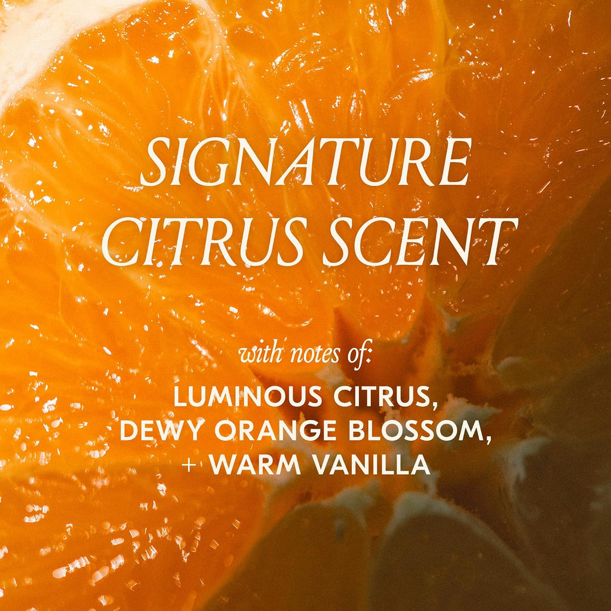 DAE Cactus Fruit 3-in-1 Styling Cream & Taming Wand - Wind-Down Curl Defining Treatment, Desert Botanicals Cream
