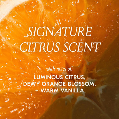 DAE Cactus Fruit 3-in-1 Styling Cream & Taming Wand - Wind-Down Curl Defining Treatment, Desert Botanicals Cream