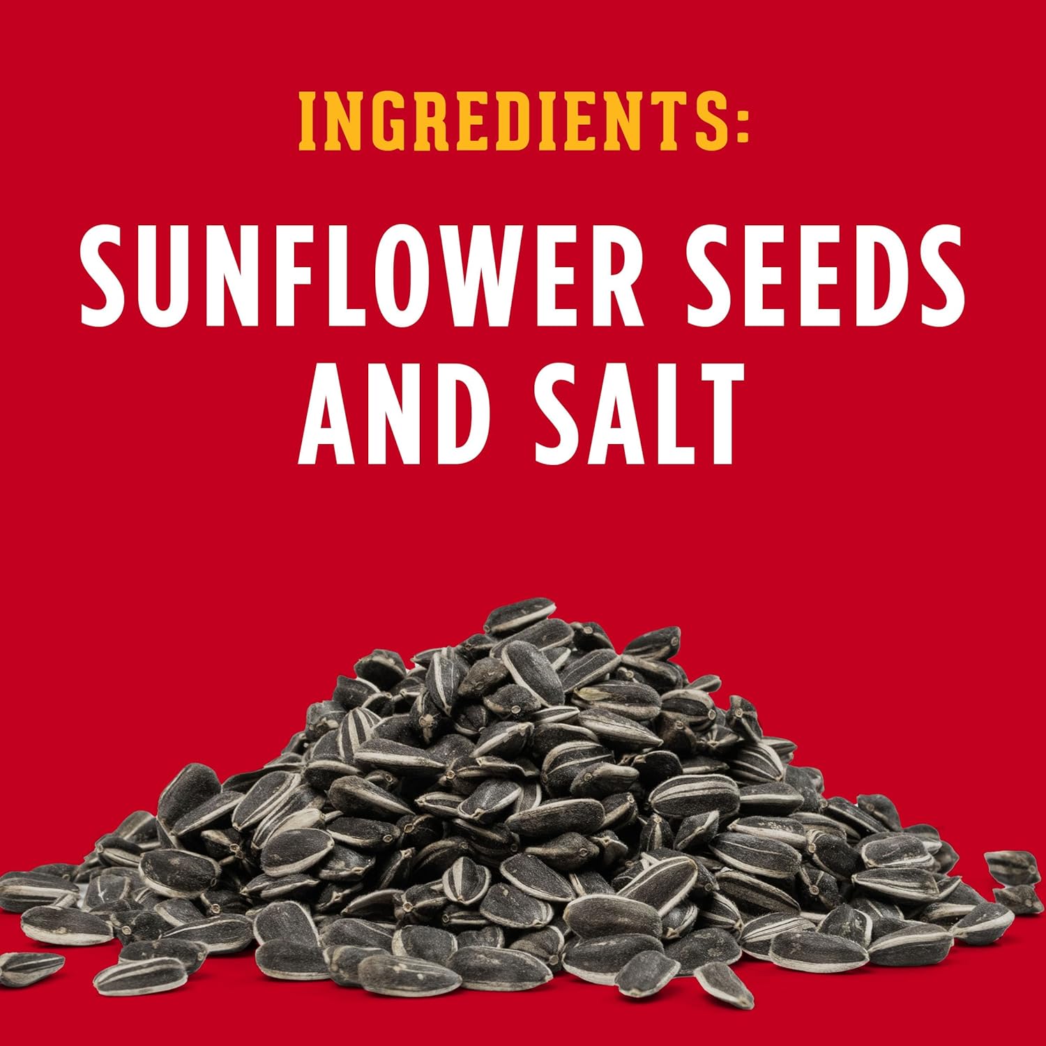 DAVID Jumbo Sunflower Seeds Original 16 oz – 8g Protein Office Snack for Long Work Sessions and Focus Breaks