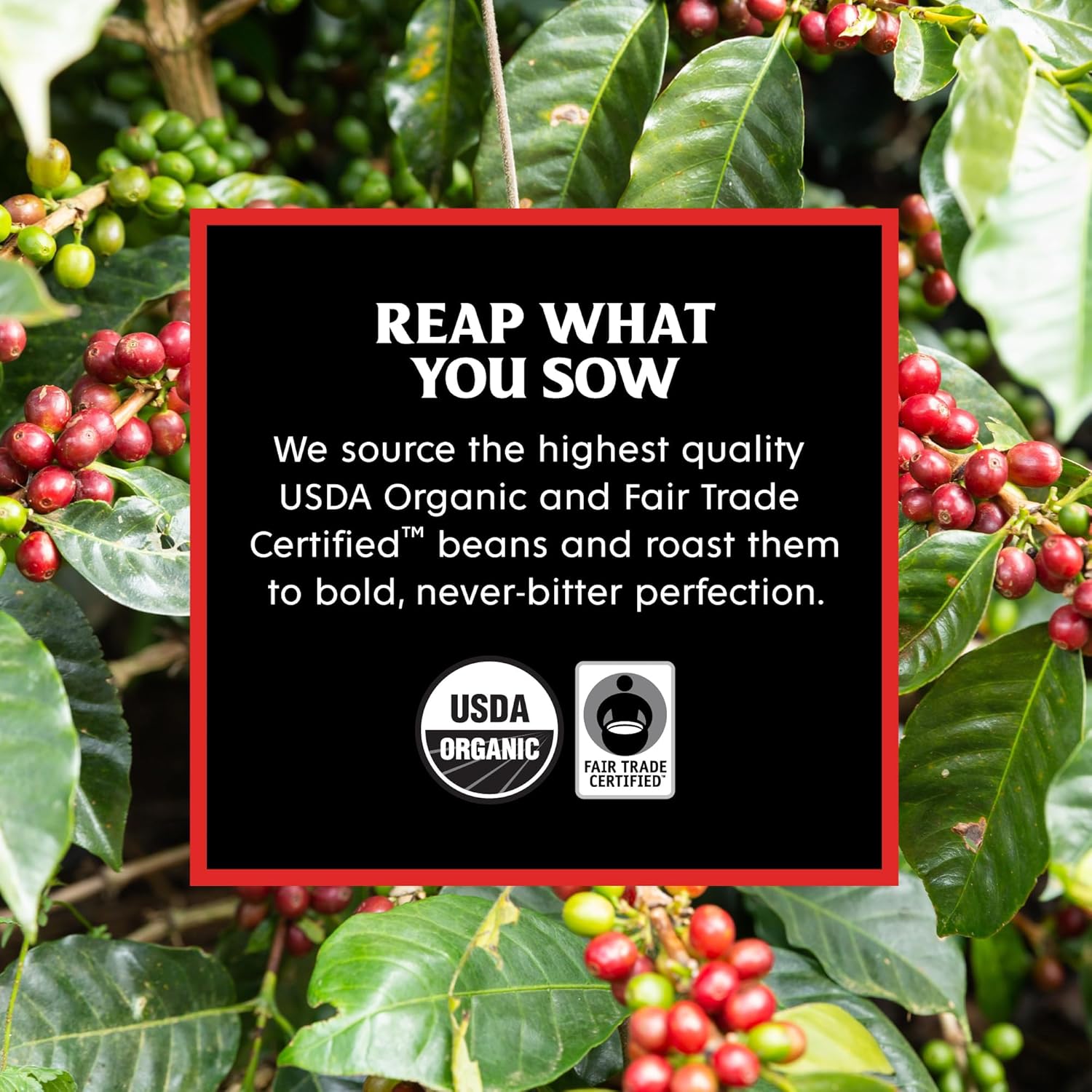 Death Wish Coffee Simple Dark Roast Pods for Clutter Free Kitchens, Single Serve K-Cup with No Extra Equipment