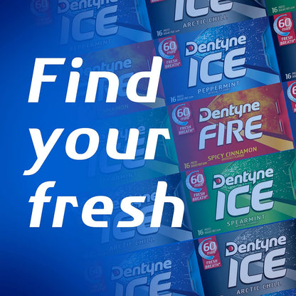 Dentyne Ice Winter Chill Sugar-Free Chewing Gum – Calorie-Conscious Chew for Home, Gym Bag, and Diet Routine