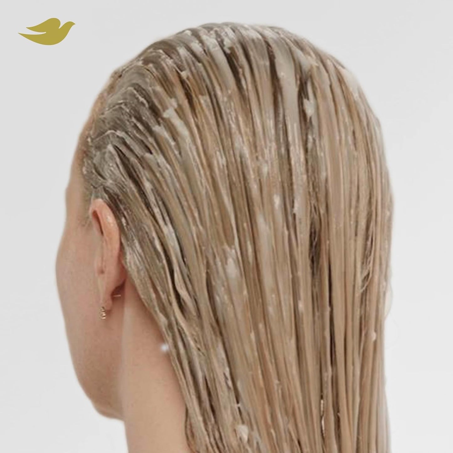 Dove Bond Strength Shampoo, Conditioner & Serum Set – Spa-Night Bond Repair for Frizzy Stressed Hair