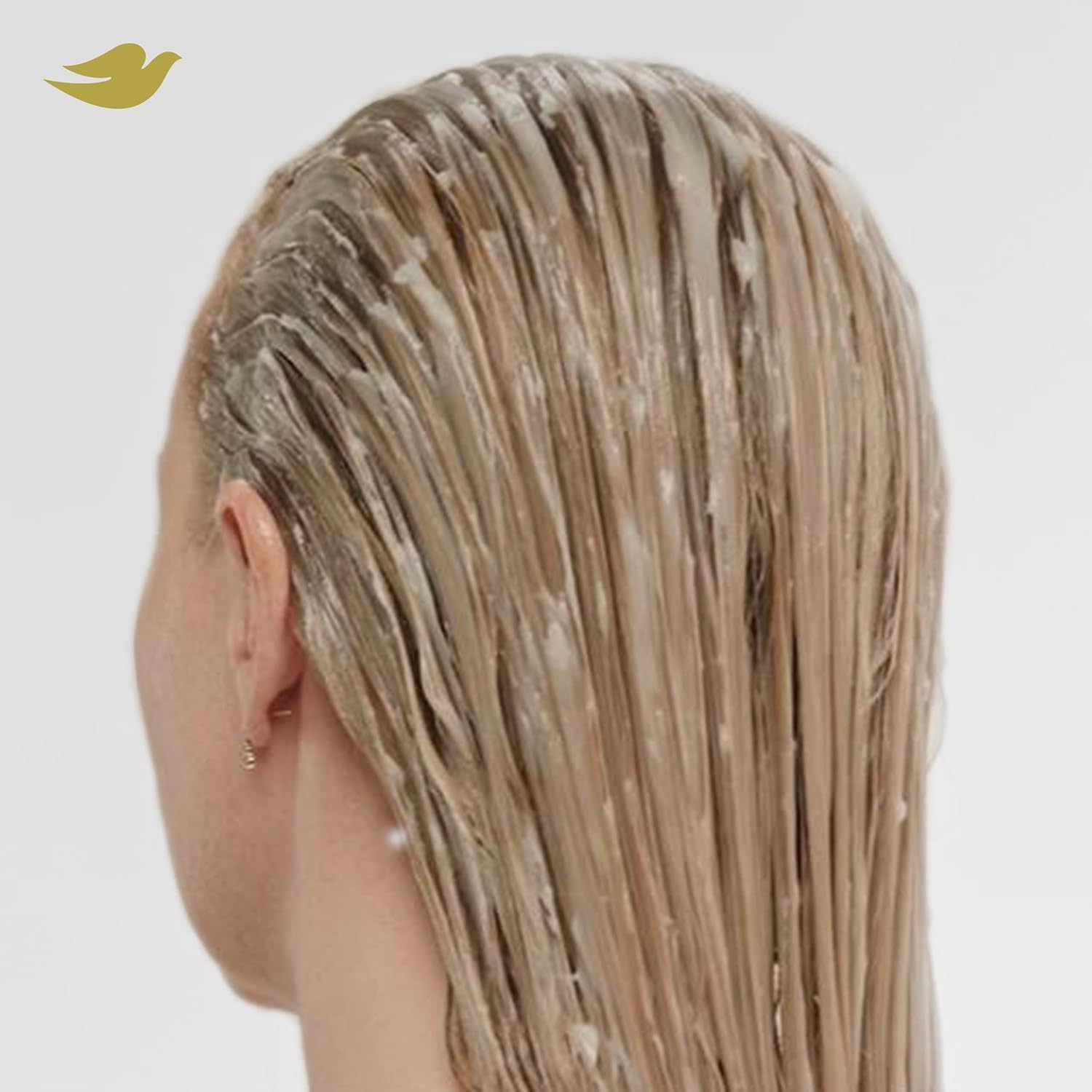 Dove Bond Strength Shampoo, Conditioner & Serum Set – Spa-Night Bond Repair for Frizzy Stressed Hair