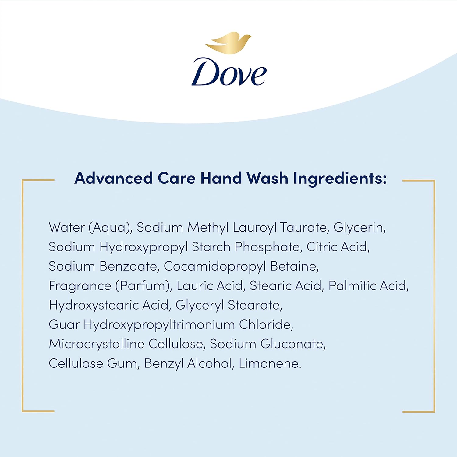 Dove Care & Protect Antibacterial Hand Wash – Post-Outdoor Hand Cleansing for Patio Kitchens and Garden Mudrooms, 34 oz