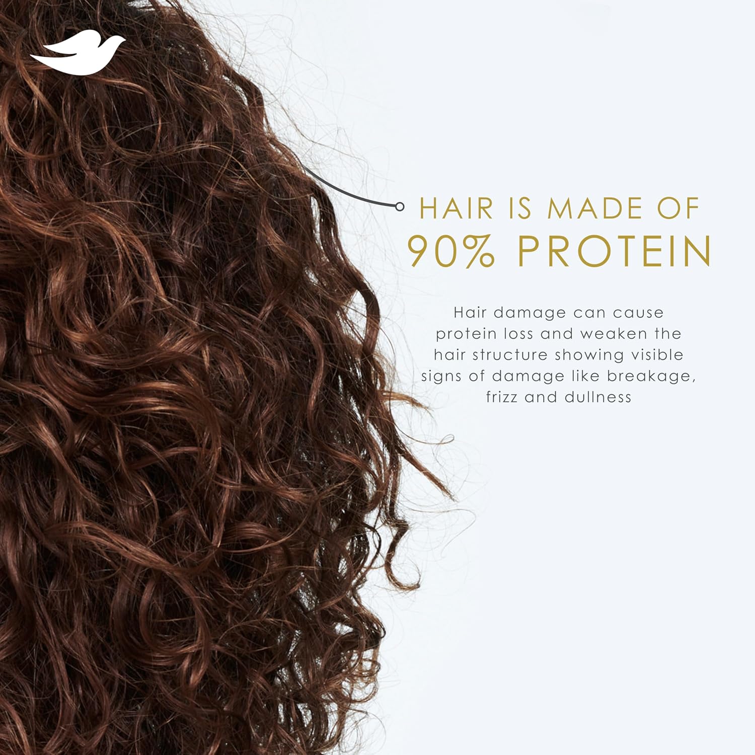 Dove Conditioner Coconut & Hydration – Coconut Scented Haircare for Relaxing Shower Ritual, Dry Hair
