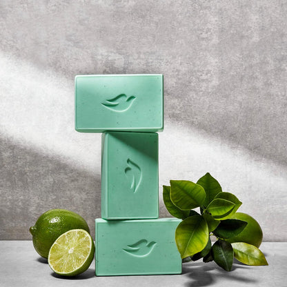 Dove Men+Care Plant-Based Bar – Calming Essential Oil Soap for Nightly Self-Care