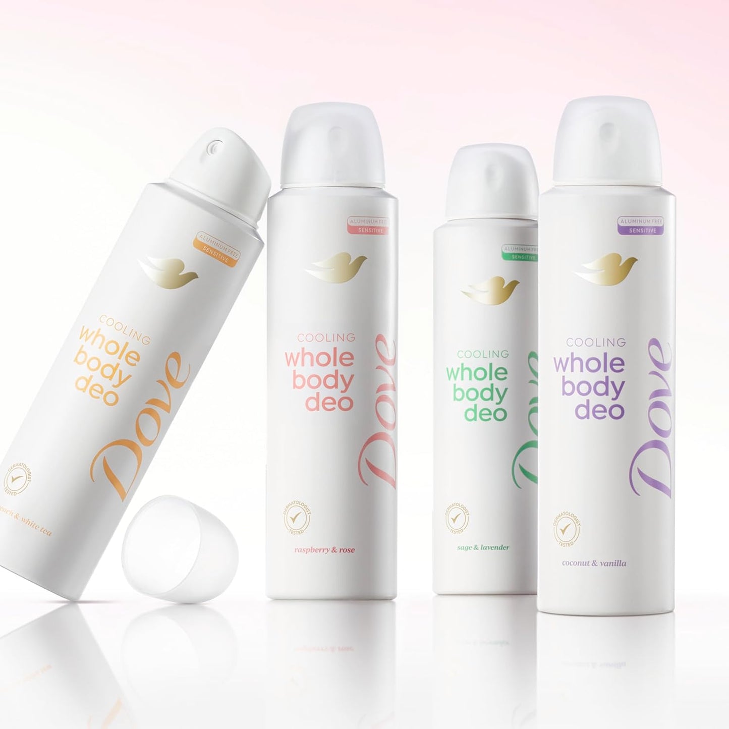 Dove Whole Body Deodorant Raspberry & Rose Clean Formula Spray for Capsule Bathroom and Neutral-Toned Spaces