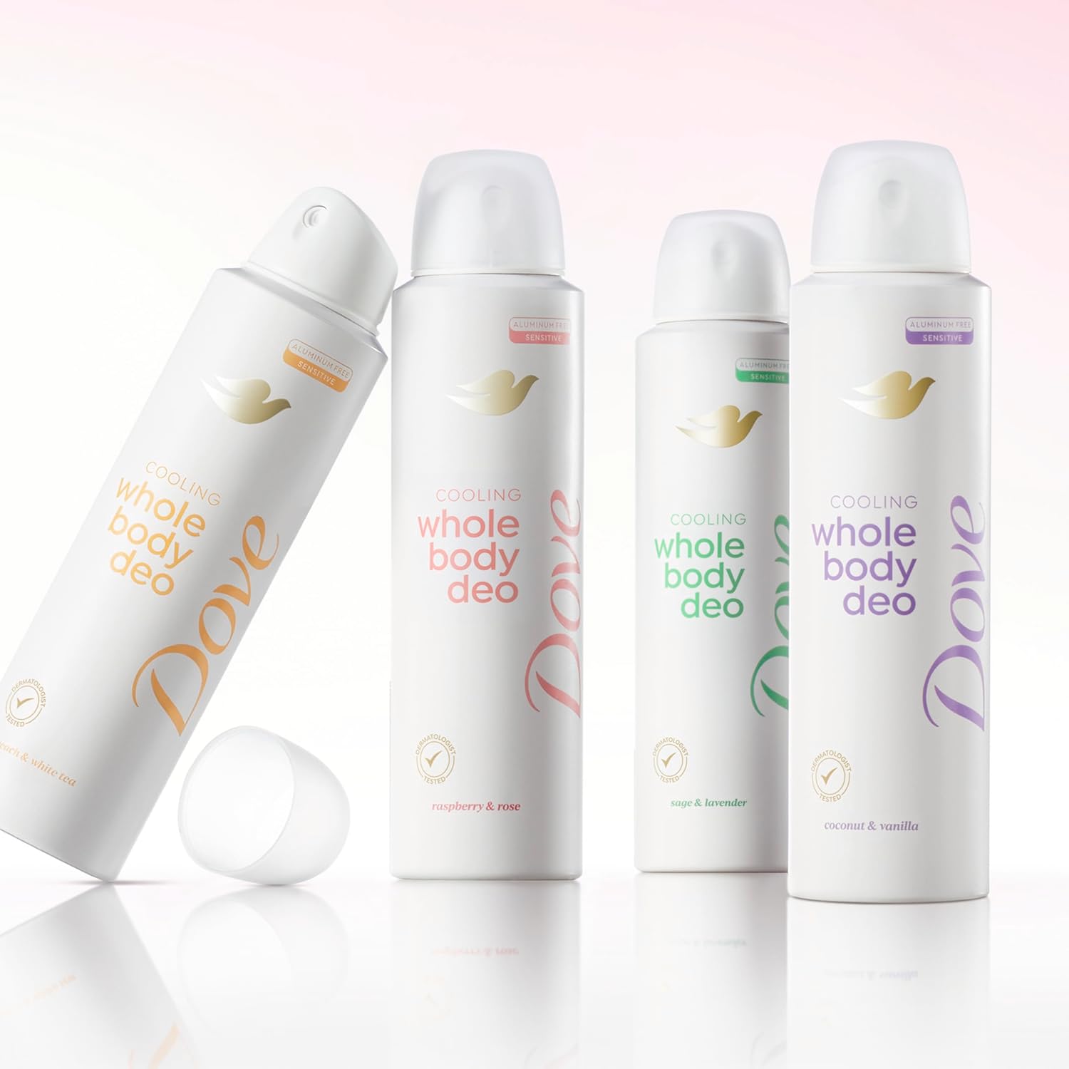 Dove Whole Body Deodorant Raspberry & Rose Clean Formula Spray for Capsule Bathroom and Neutral-Toned Spaces