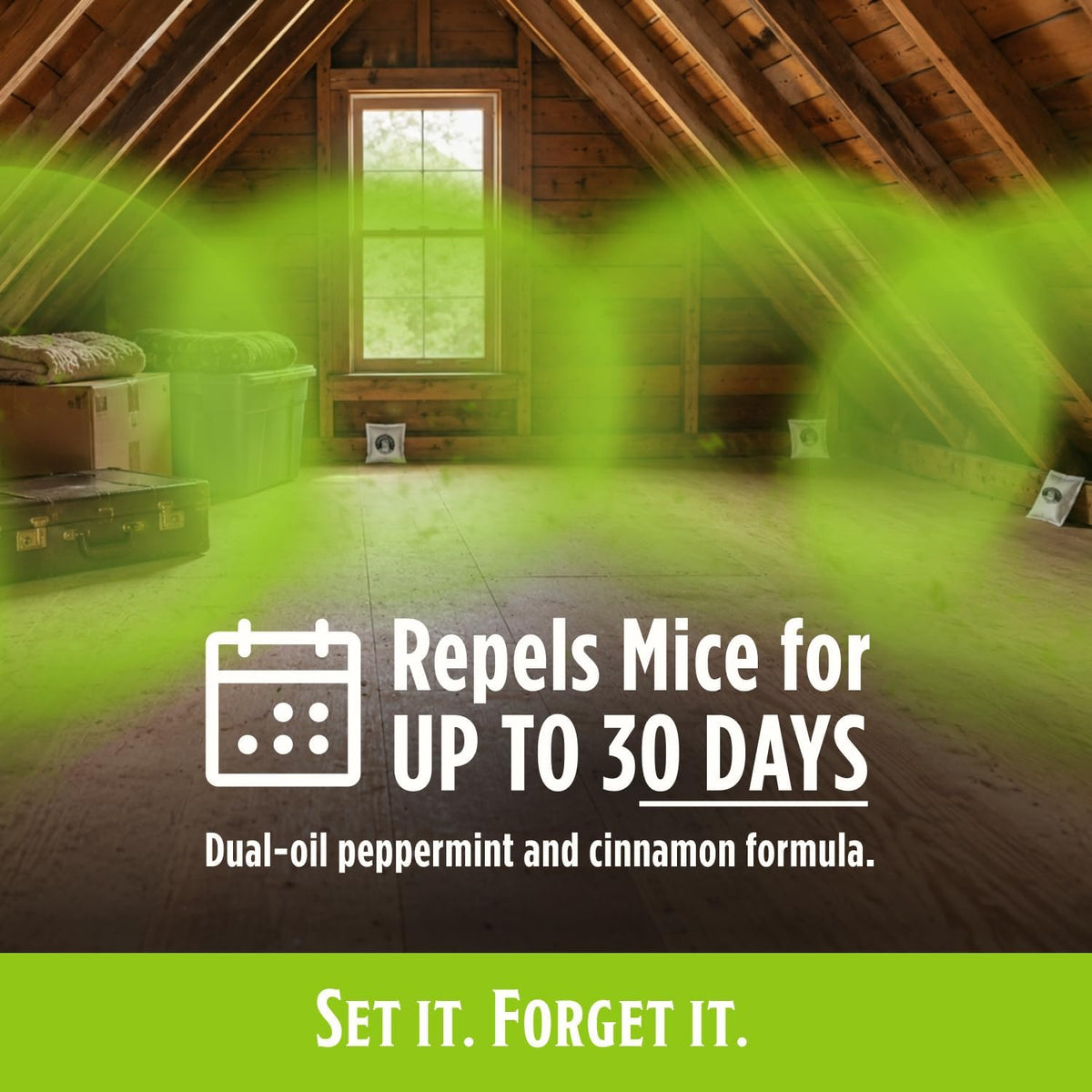 dual essential-oil formula (peppermint + cinnamon) that overstimulates rodent sensory receptors