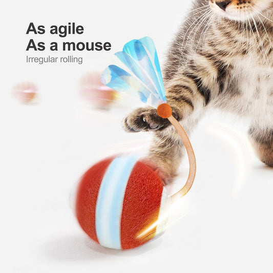 dual speed modes: slow (timid/senior cats) and fast (energetic adult cats)