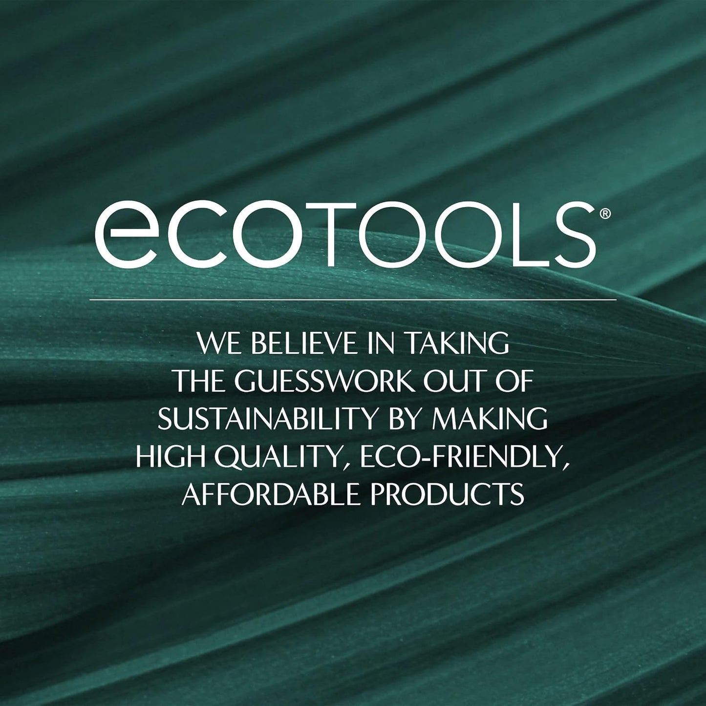 EcoTools Dry Body Brush – Spa-Inspired Wellness Essential for Bath Time Routine, Vegan Exfoliating Tool for Mindful Grooming