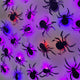 Spiders-red, Purple, Blue