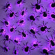 Spiders-purple
