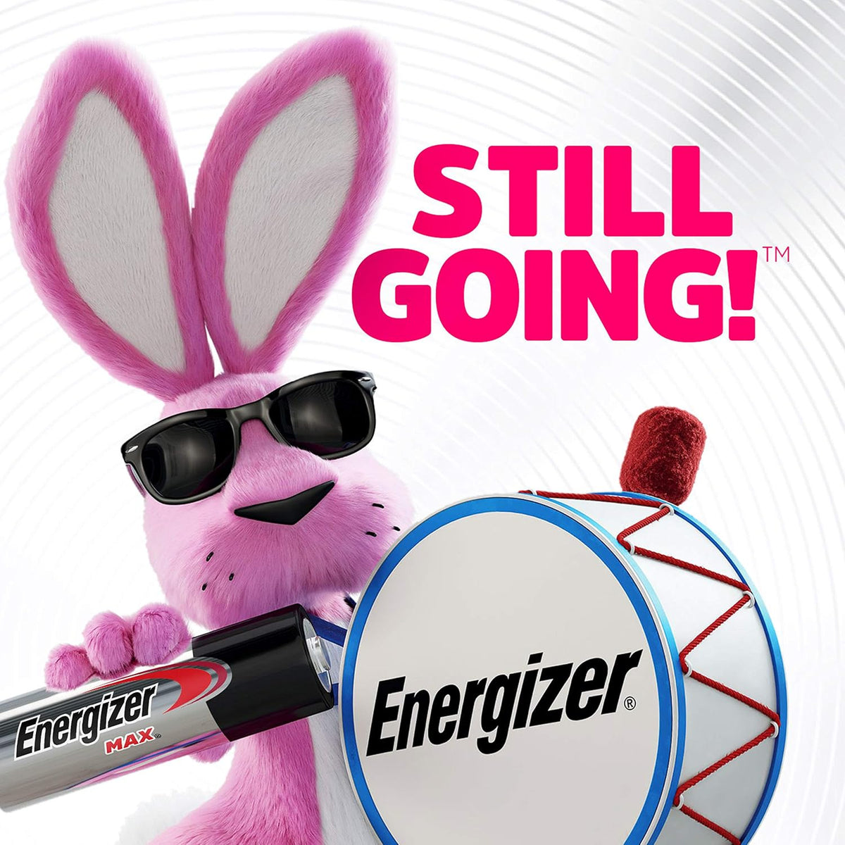 Energizer MAX Battery Combo 48 Pack Useful Holiday Gift for Busy Households and Remote Workers