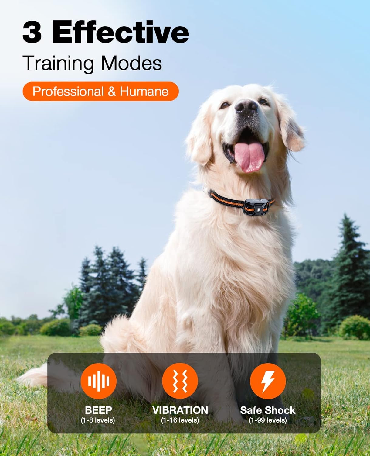 extended 3300ft (≈3/4 mile) wireless range with dual-channel support for 2 dogs