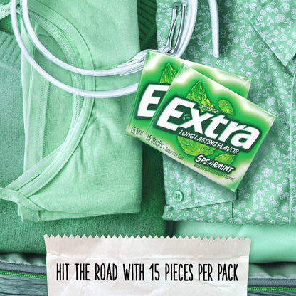 EXTRA Bubble Gum Chewing Gum Bulk Pack – Individually Wrapped Kids Gum for Party Favors, Lunchboxes, and Classroom Rewards