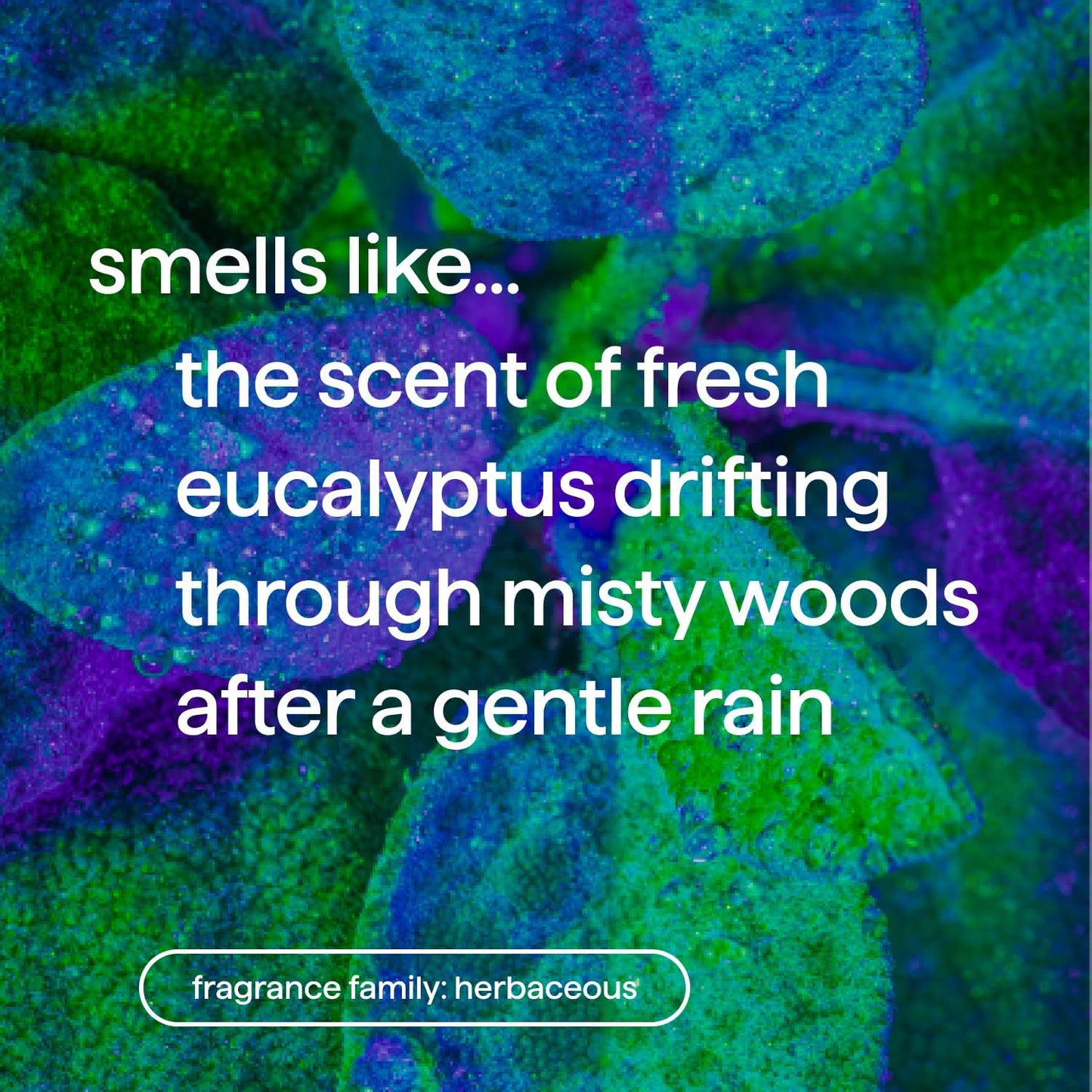 foaming formula that lathers easily with less product per pump