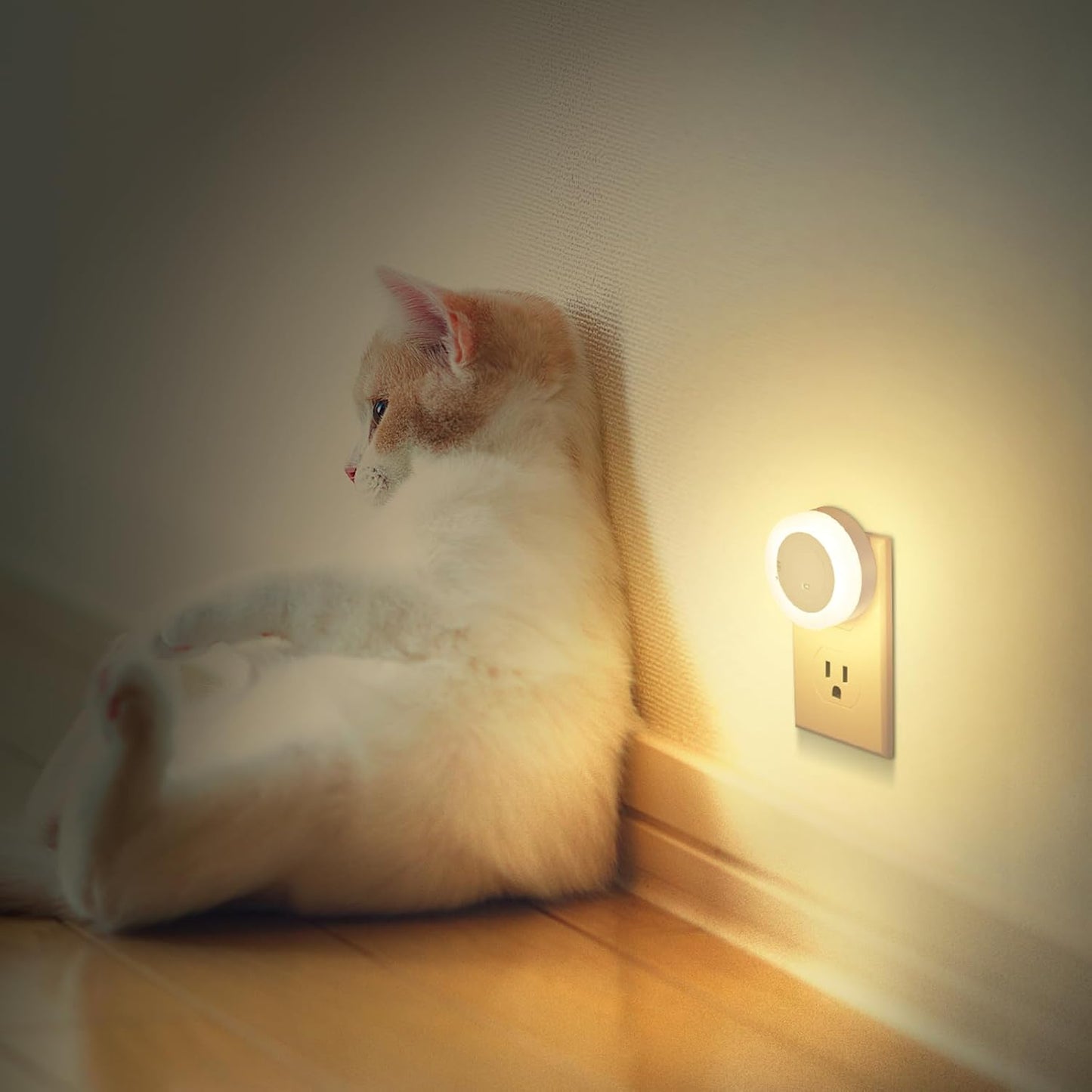 FOLKSMATE LED Night Light – Compact Plug in Light with Compact Footprint, 2 Pack for Clean Interiors