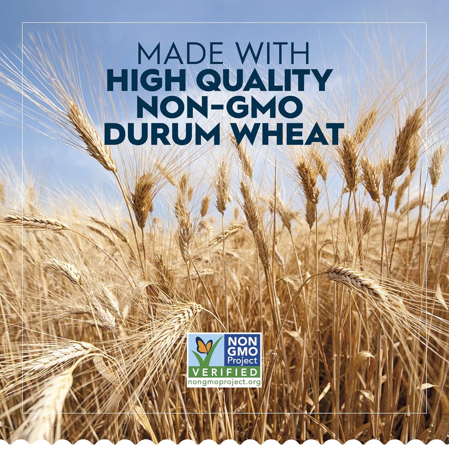 fortified with niacin, iron, thiamine mononitrate, riboflavin, and folic acid