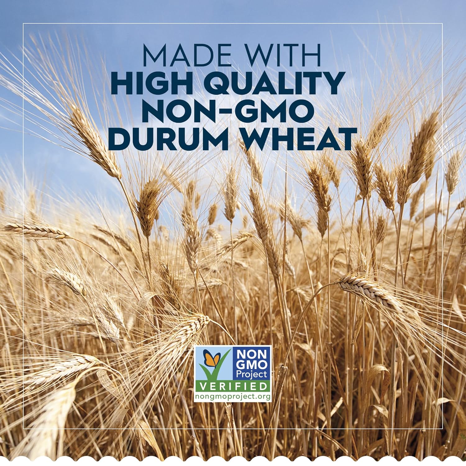 fortified with niacin, iron, thiamine mononitrate, riboflavin, and folic acid