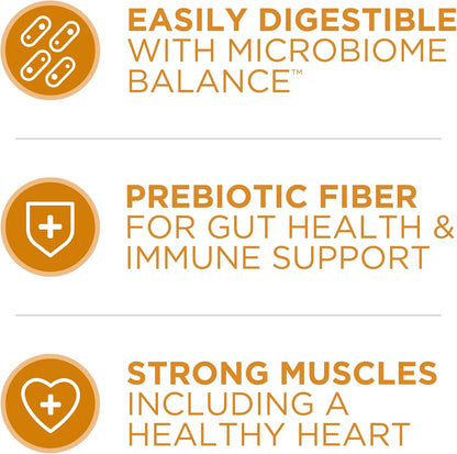 four antioxidant sources to strengthen the immune system