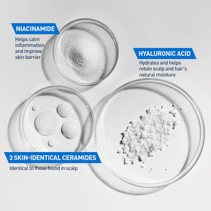 four product variations: 12oz single, 12oz 2-pack, 19oz single, and shampoo + conditioner set