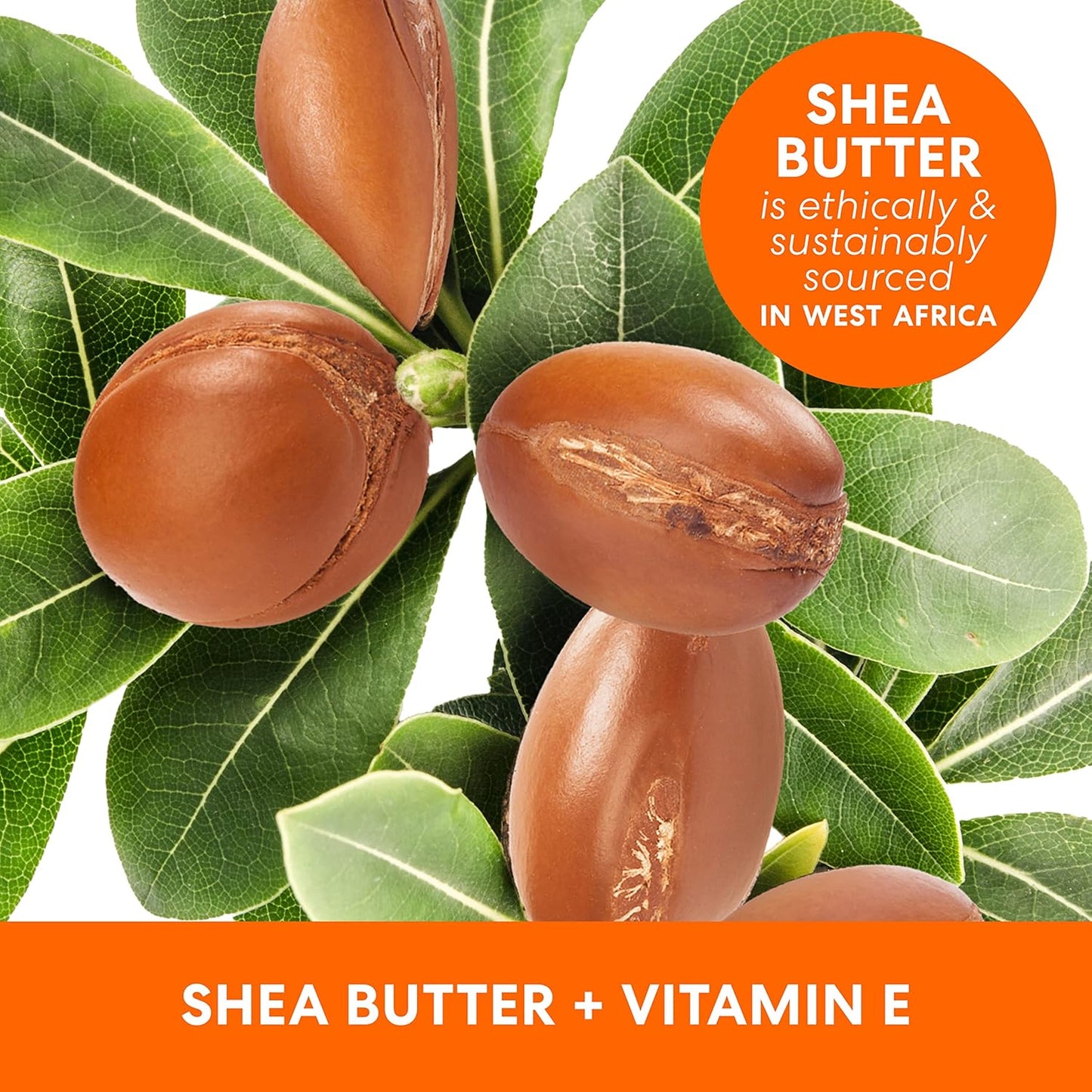 free-from formulation: no mineral oil, parabens, phthalates, or dyes