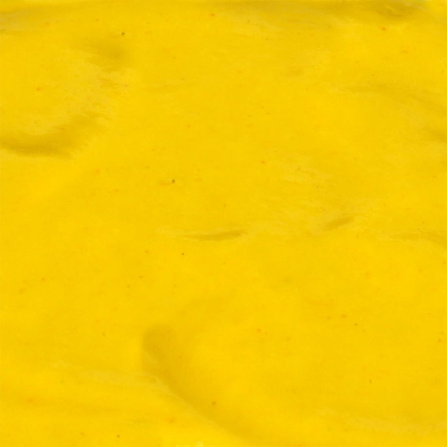 French's Stone-Ground Yellow Mustard – Clean Label Condiment for Intentional Cooking & Everyday Use, 14 oz