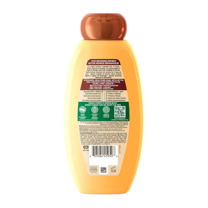 Garnier Repairing Shampoo with Honey & Propolis – Premium Hair Care Gift for Mom or Friend