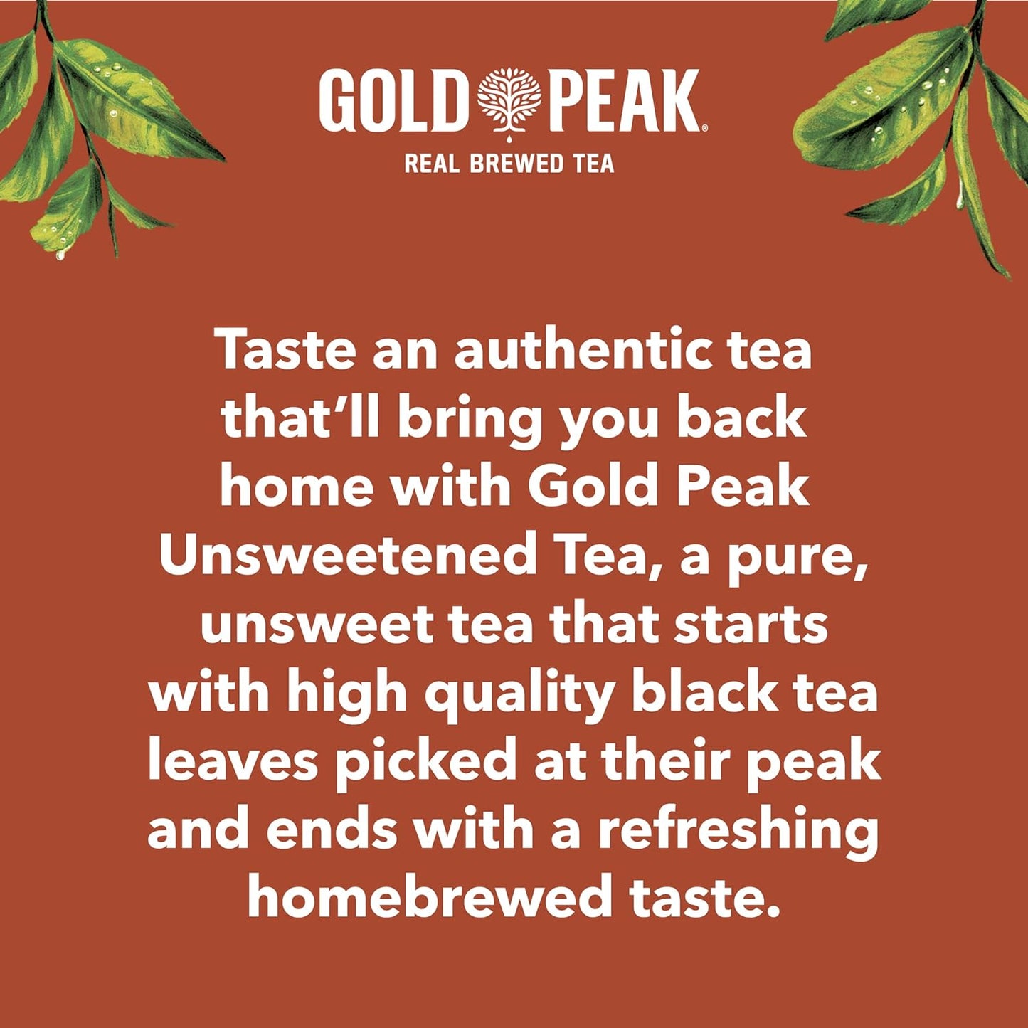 Gold Peak Black Tea – Diabetic-Friendly Beverage for Mindful Living, Brewed 16.9 fl oz 6 Pack