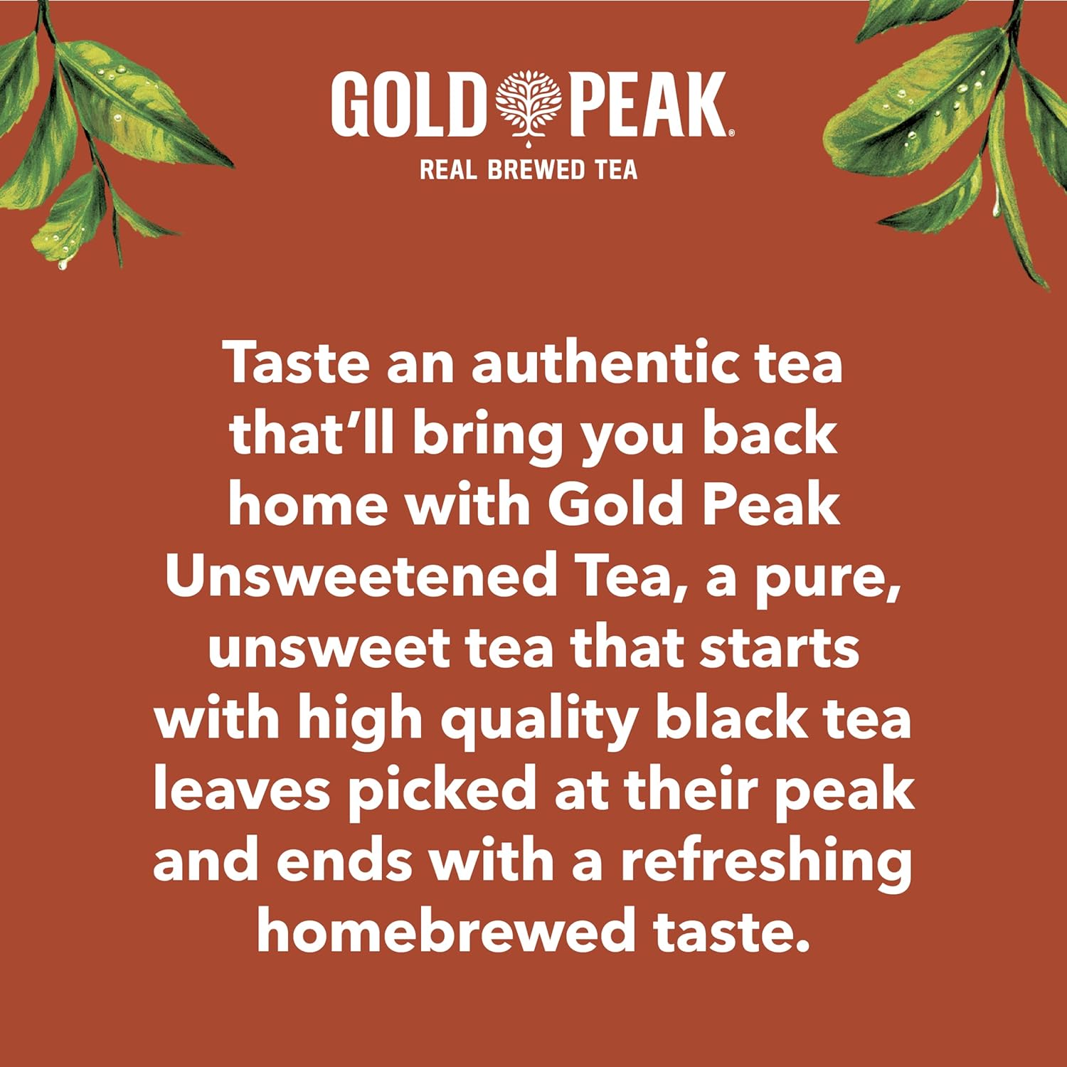 Gold Peak Black Tea – Diabetic-Friendly Beverage for Mindful Living, Brewed 16.9 fl oz 6 Pack