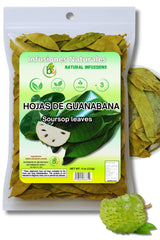 Guanábana Hojas Soursop Leaves – Pure Plant-Based Tea for the Less-Is-More Wellness Pantry