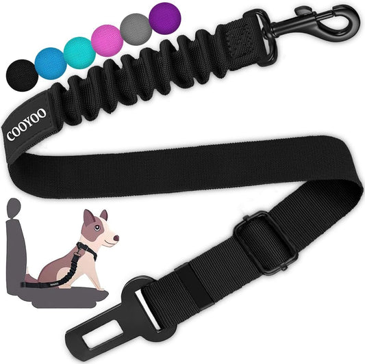 heavy-duty nylon webbing with reinforced stitching
