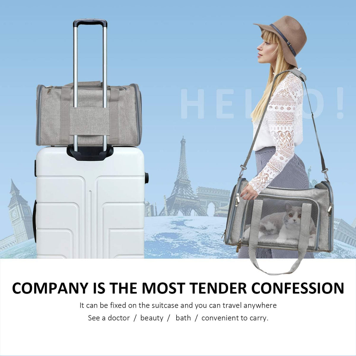 Henkelion Pet Carrier – Safety-First Soft-Sided Travel Bag for Small Dogs and Cats Under 15 lbs